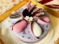 -哈根达斯(西安高新店)