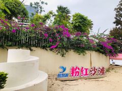 -巽寮湾