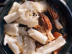 -蘑统田下·野生菌火锅