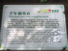 -呀诺达热带雨林