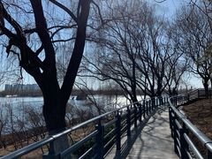 -大兴滨河森林公园