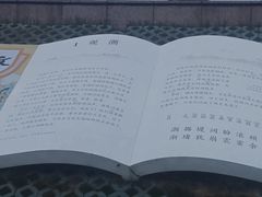 -观潮胜地公园