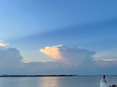 -瑶湖郊野森林公园