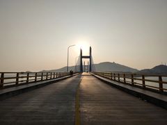 -枸杞岛