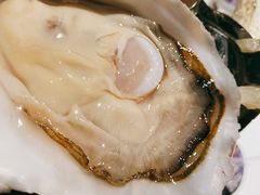 -Oyster Talks 四度蚝法餐厅