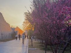 -洛阳市隋唐城遗址植物园