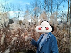 -浙江农林大学(东湖校区)