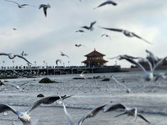 -栈桥景区