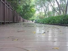 android_upload_pic-铁路文化公园