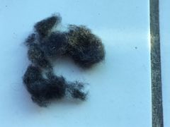 -UNIQLO(朗豪坊店)