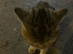 -临沂大学体育馆
