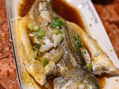 南海大黄花鱼-鲜小岛·铜锅涮肉