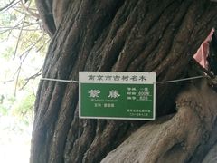 -郑和公园