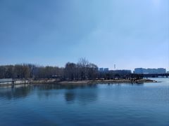 -丁香湖公园