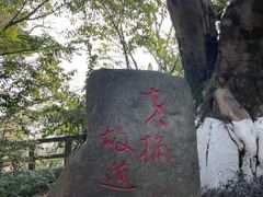 -艾坪山公园