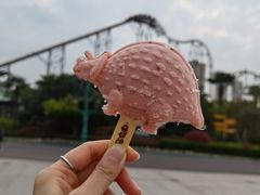 -中华恐龙园
