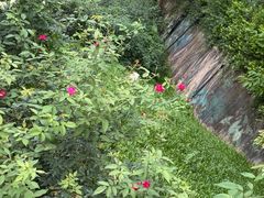 -人民公园(罗湖区)