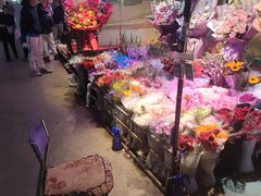 -花鸟鱼虫鲜花绿植市场(玉泉路店)