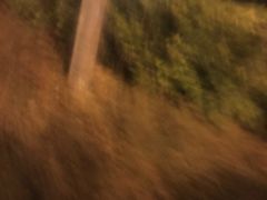 -狐尾山公园