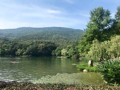 -紫霞湖公园