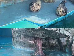 -横店影视城梦幻谷园区