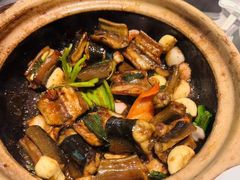 -新兴·金羊座·粤菜点心(乐峰店)