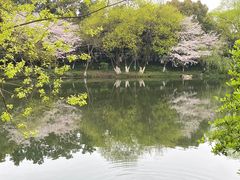 -八卦田遗址公园