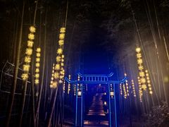 -杭州黄龙洞