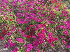 -大溪地量贩KTV(合肥1912店)