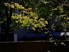 -木守西溪溪隐餐厅