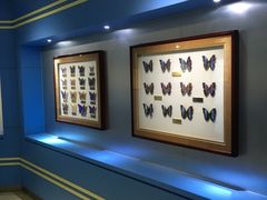 -上海昆虫博物馆