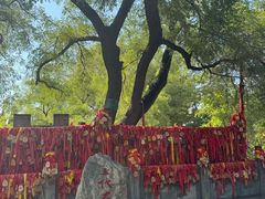 -大槐树寻根祭祖园
