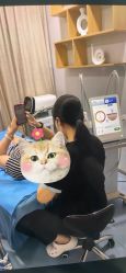 -重庆联合丽格第五医疗美容医院