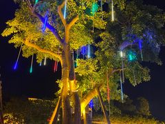 -顺德了能馆(虎门店)