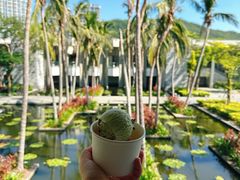 -半山半岛洲际度假酒店·观海廊