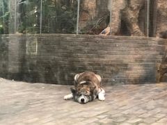-南昌动物园