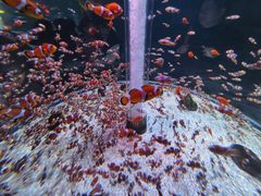 -海合安成都极地海洋公园
