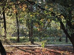 -国家植物园南园