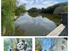 -太子山公园(园东路)