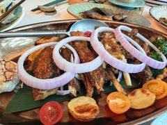 -龟兹KUCINA·新疆菜(前滩L+PLAZA店)