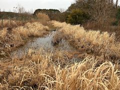 -上海国际音乐村