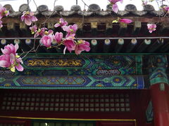 -潭柘寺景区