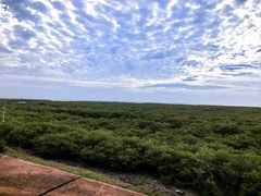 -北海金海湾红树林生态旅游区