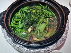 -煲煲好(朝阳门店)