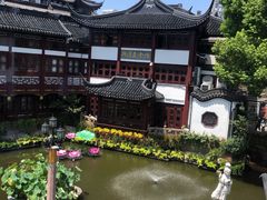 -豫园湖心亭茶楼