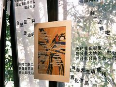 -橡皮书店(翠湖北路店)