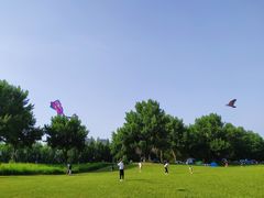 -长白岛森林公园