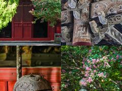 -报恩寺(平武县)