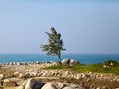 -放鸡岛生态旅游国际度假区