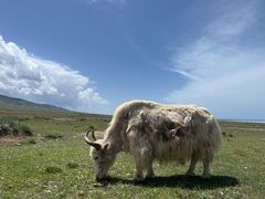 -青海湖国家重点风景名胜区